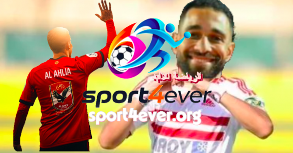 عمرو السولية